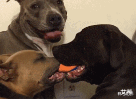 集成电路|“总经理办公室这样设计，要不要加厚隔音墙呢？”哈哈哈哈哈太有才了