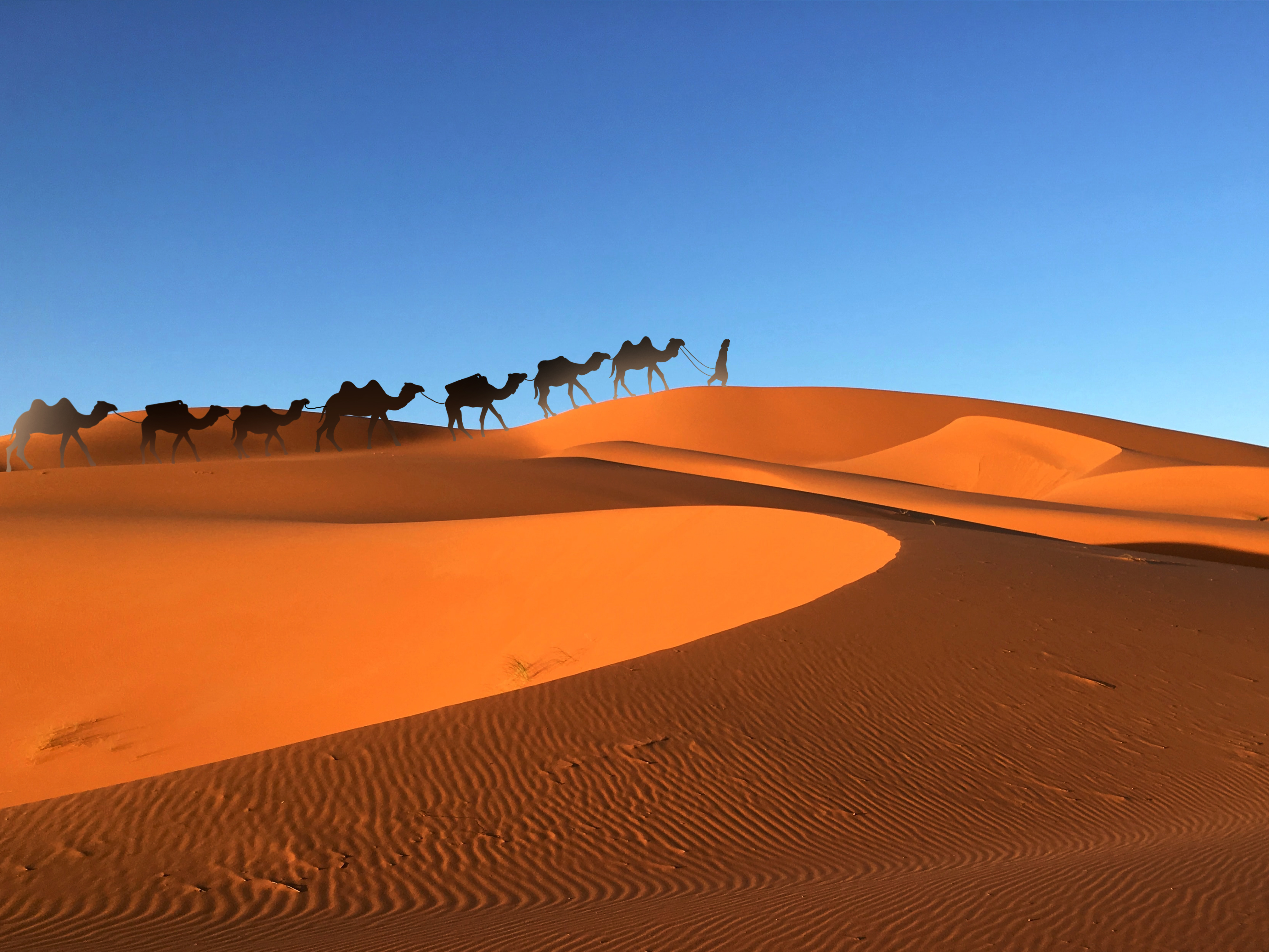 琥珀|琥珀宝石画,有知道的吗?