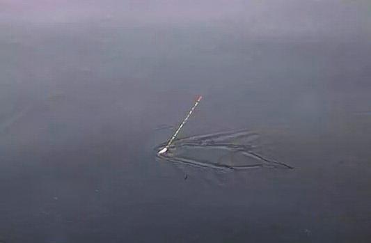 五种常见的典型漂相，涵盖所有鱼的吃口，助你判断什么鱼咬钩