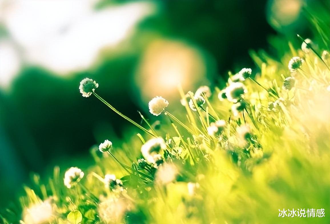 人到中年,有些话题,最好避而不谈