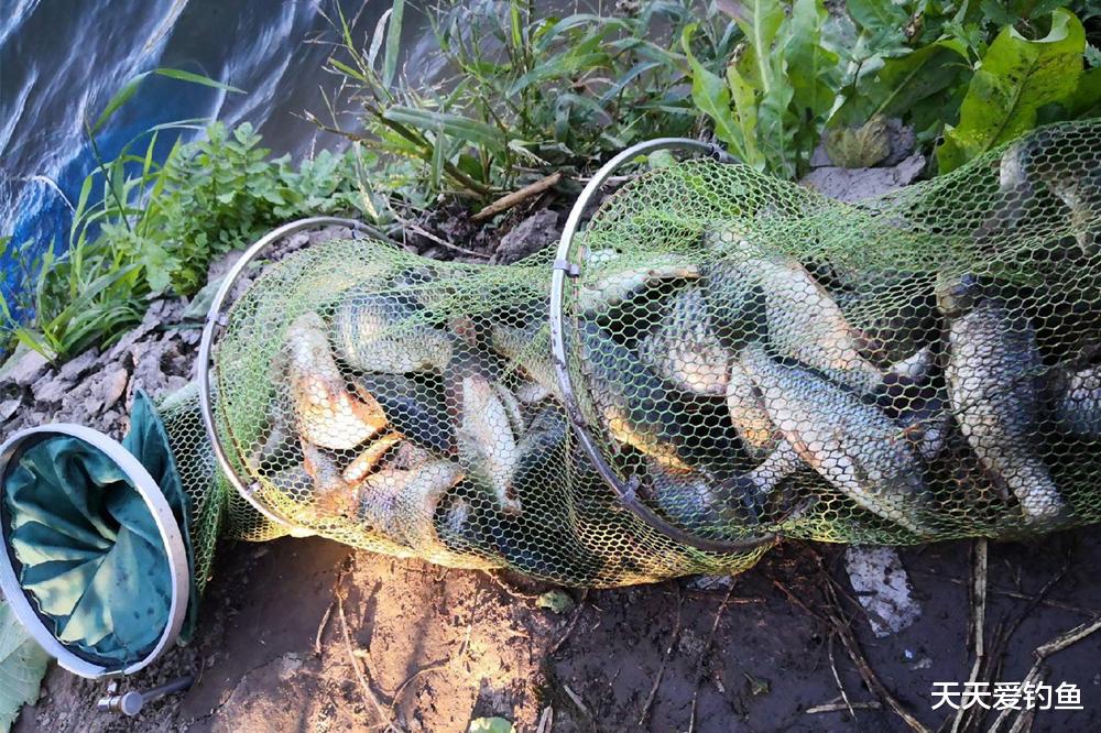 夏季钓鱼，记住6大“禁忌”，谁踩谁“空军”