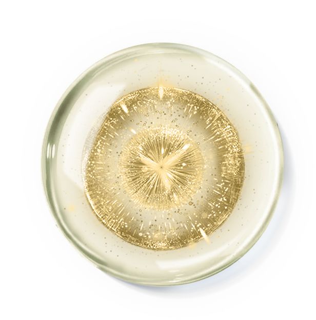 每天认识一个护肤成分——修护界仙女酵母