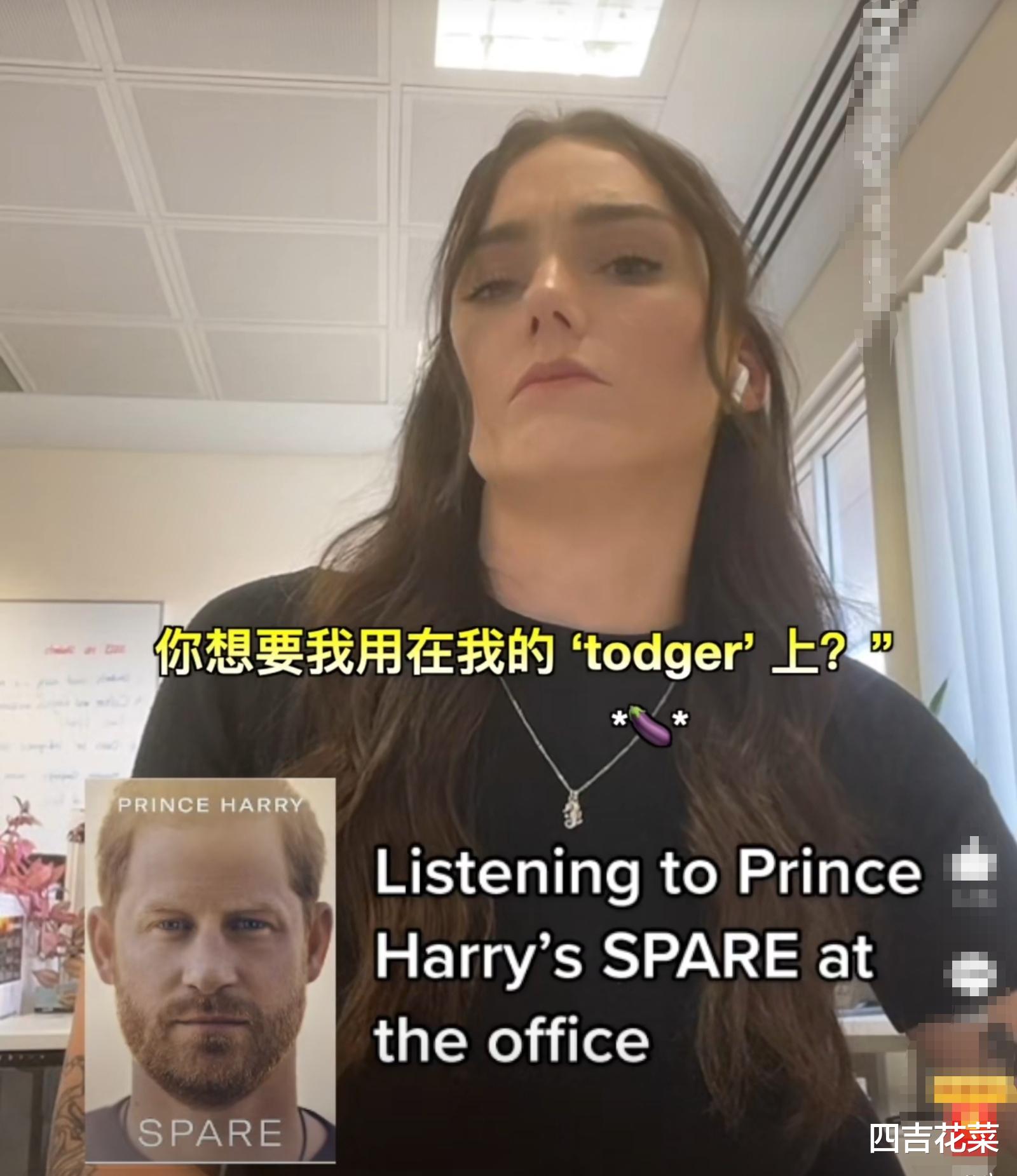 哈里王子|哈里王子出书《spare》自爆备胎,曾用妈妈戴安娜的唇膏擦身体