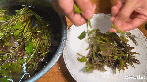 成都|一把香椿芽，打3个鸡蛋，简单炒一炒，鸡蛋嫩滑，香椿芽咸香可口