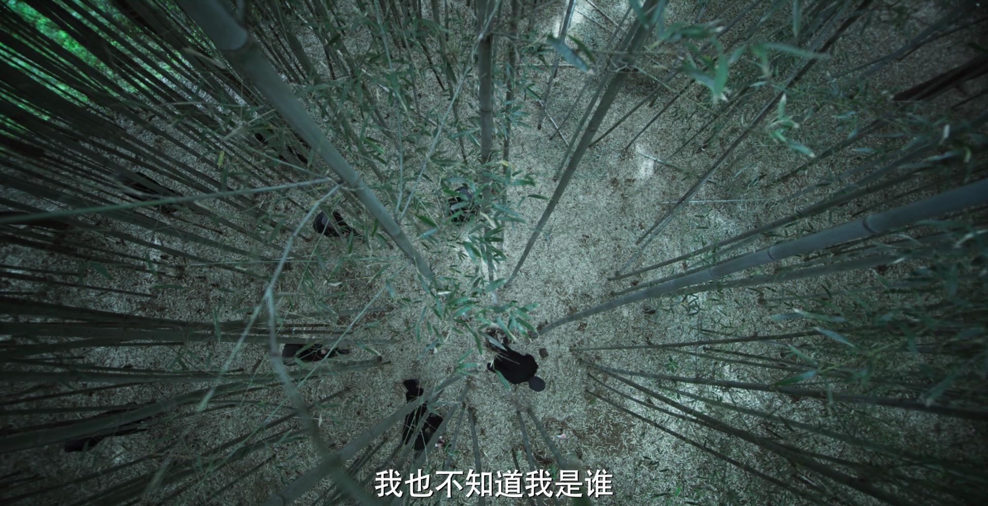 预告片|《无间》双台定档!预告片信息量巨大,连看3遍都不过瘾