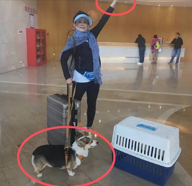 张译|以为是假新闻,其实是真新闻,张译、袁立、华晨宇,个个离谱惊人