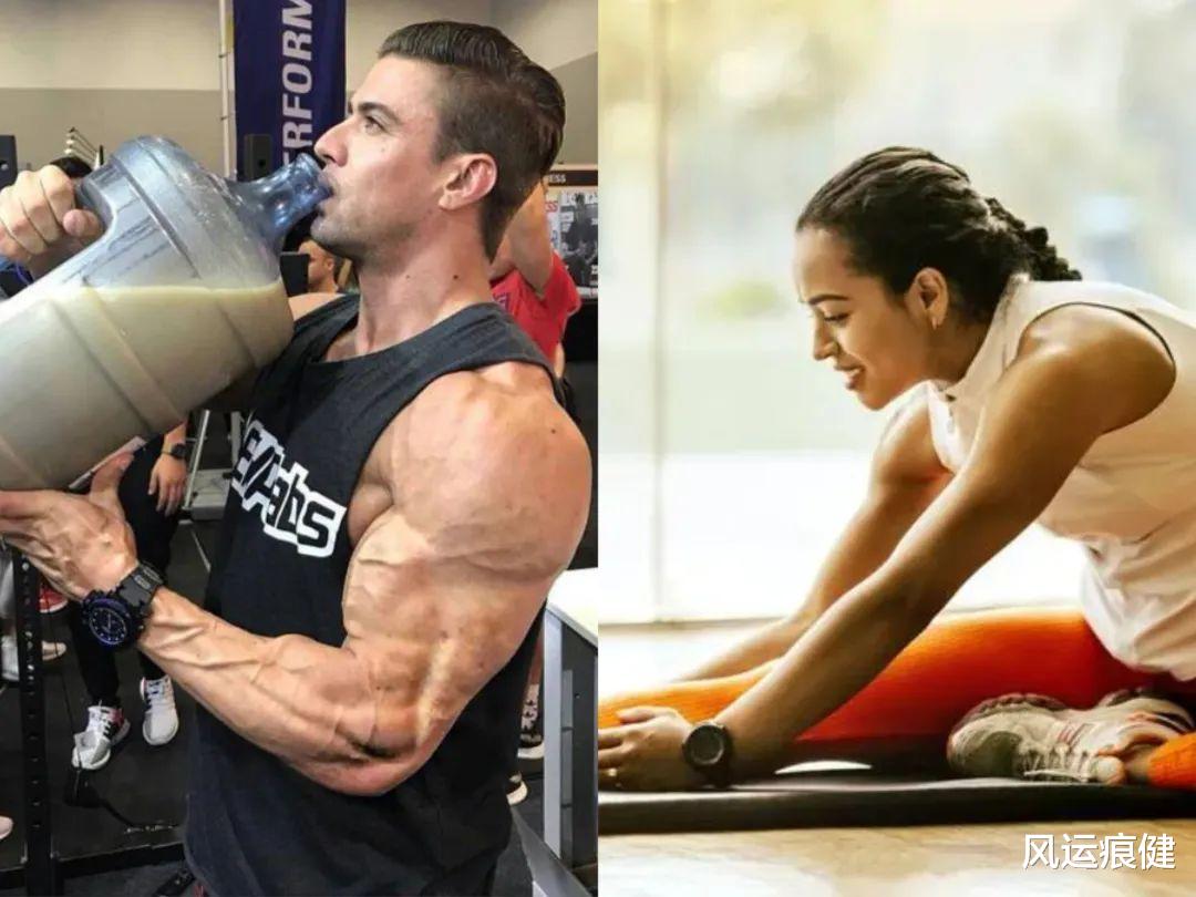 拉伸，是否有利于增肌？