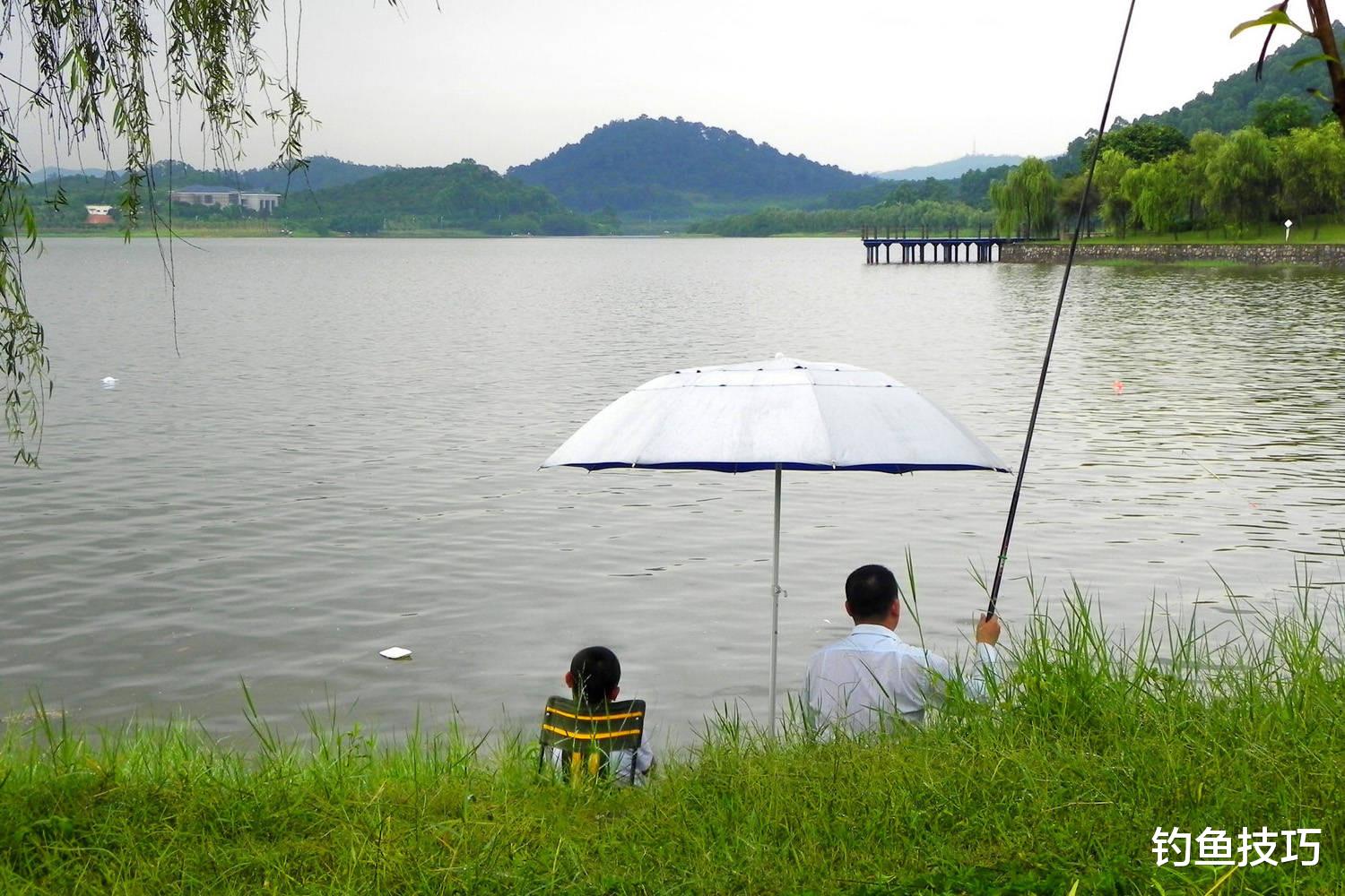 夏季野钓的4个秘诀,大鱼才是主角,增加鱼获有心得