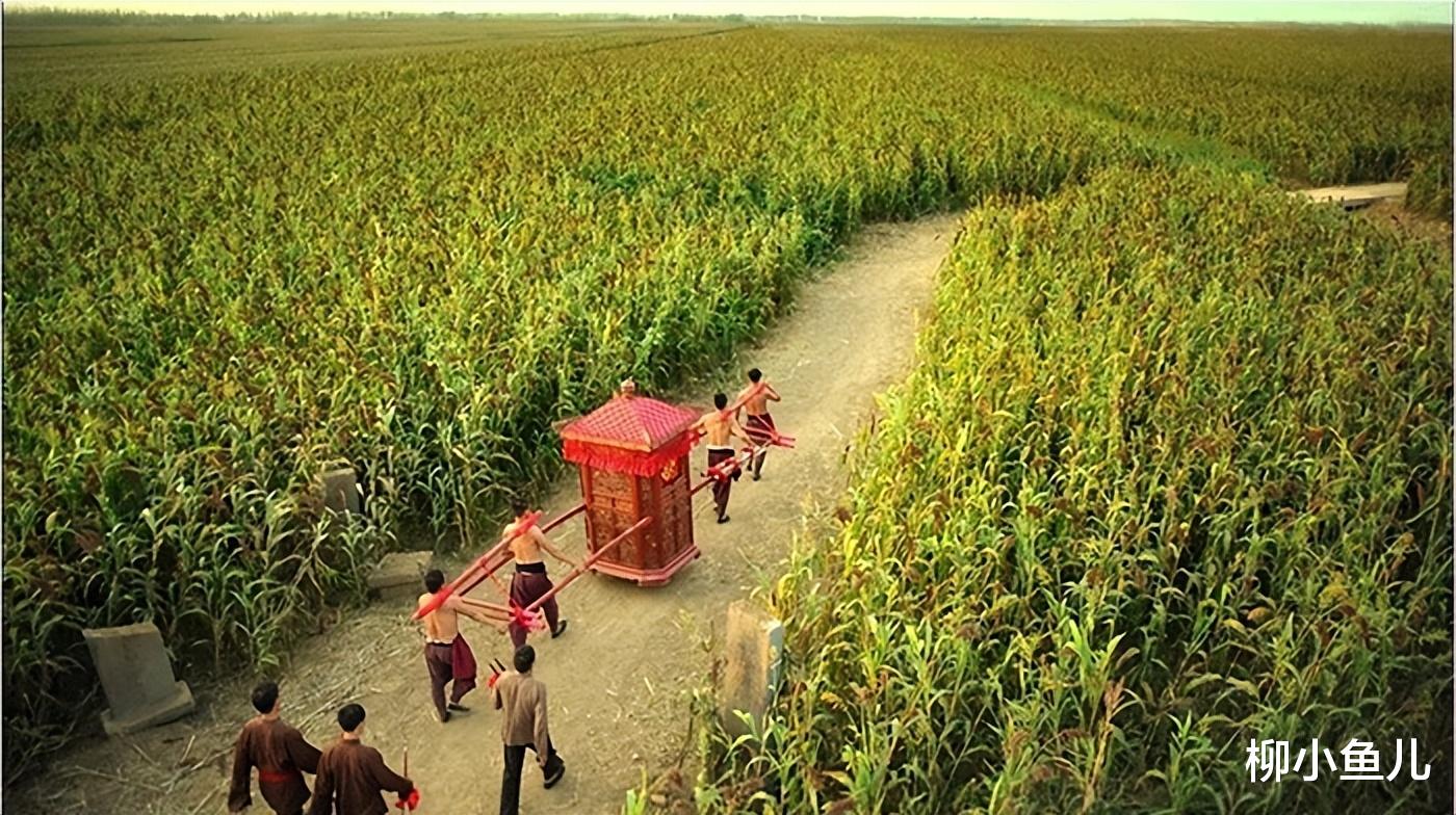 张艺谋为拍《红高粱》借4万元种100亩高粱,收成归农民,不料验收时却傻了眼!