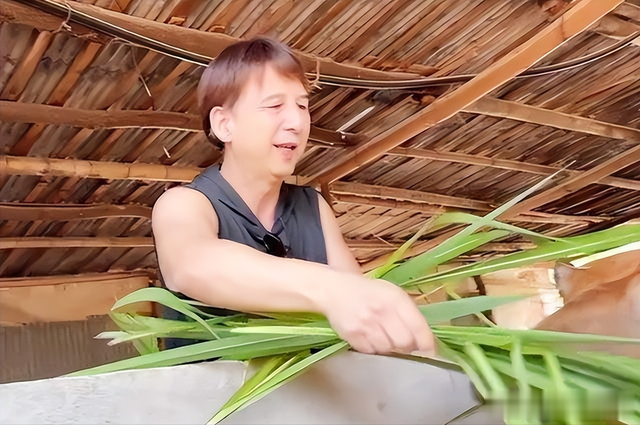 6位老牌明星晚年回归普通人生活,坐公交吃路边摊,回农村种地