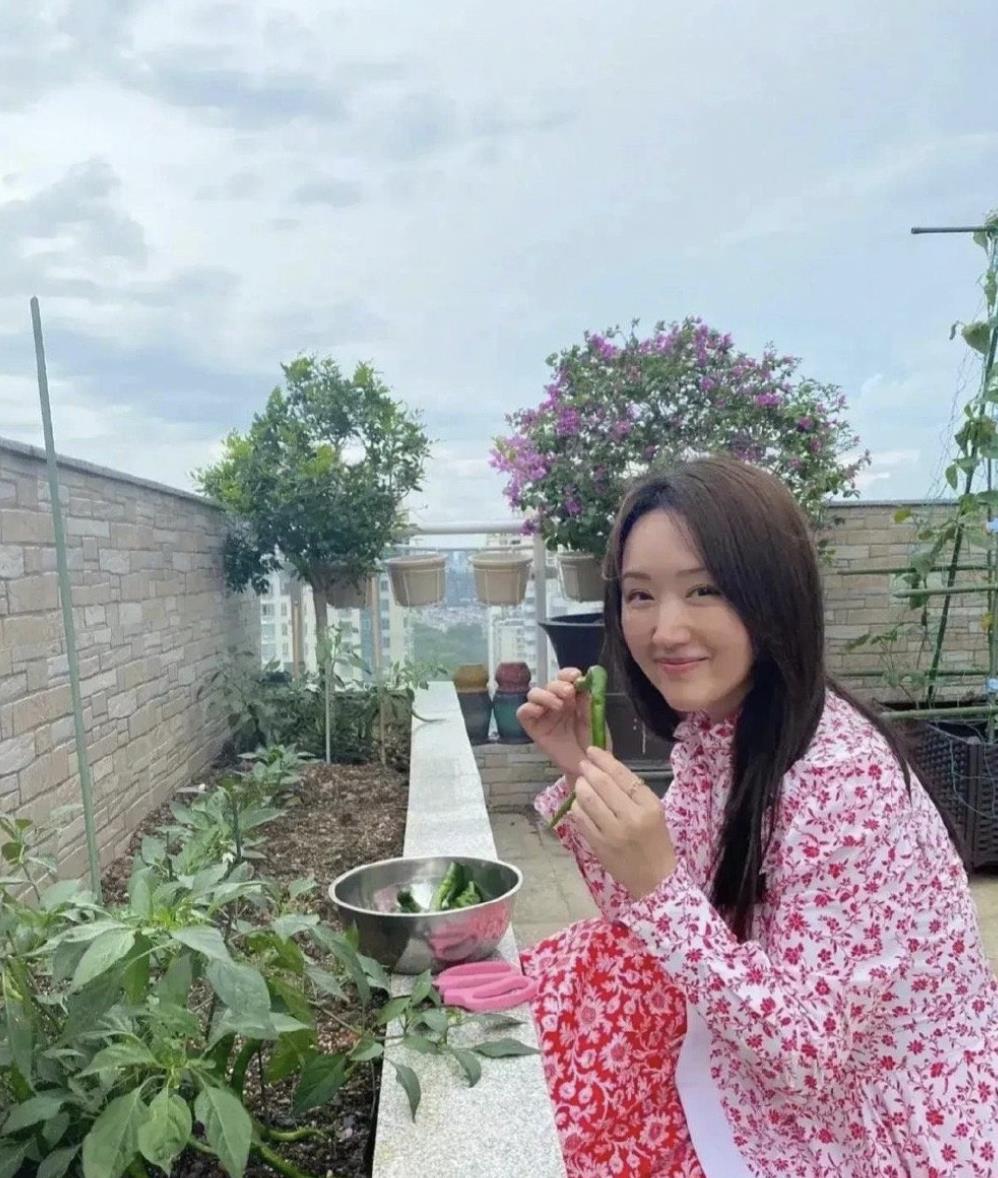 杨钰莹|52岁的杨钰莹现状曝光:前男友入狱,在深圳豪宅种辣椒,独居也不寂寞