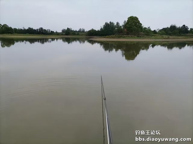 |生鲜大玉米,钓翘也钓鲫