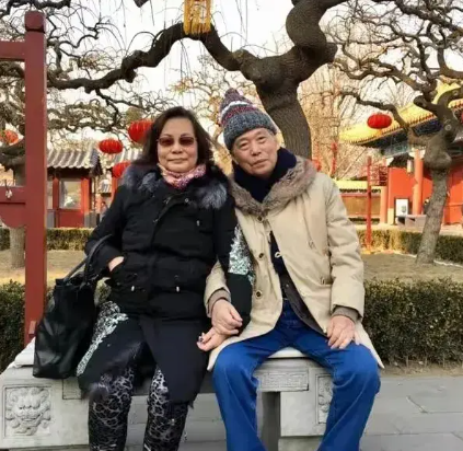 港媒透露周海媚骨灰处置详情，或将回归香港，以便于家属缅怀