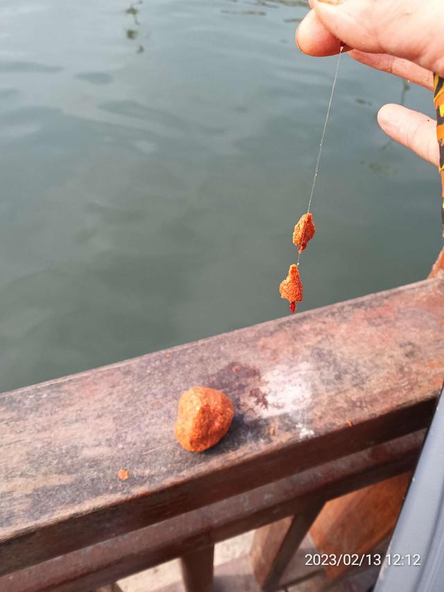 大爷|【钓鱼之家虾粉】雨后初晴,鱼情艰难,幸有虾粉,共度难关