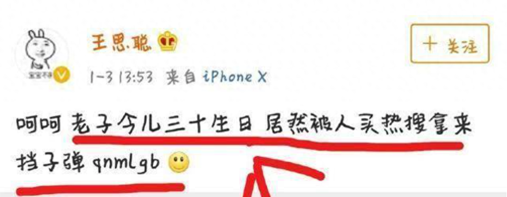 私生活混乱?这一次,再多的名和利都救不了王思聪