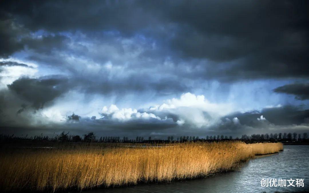 12月26日起,财运高升,富足美满,左右逢源,无往不利的4个星座