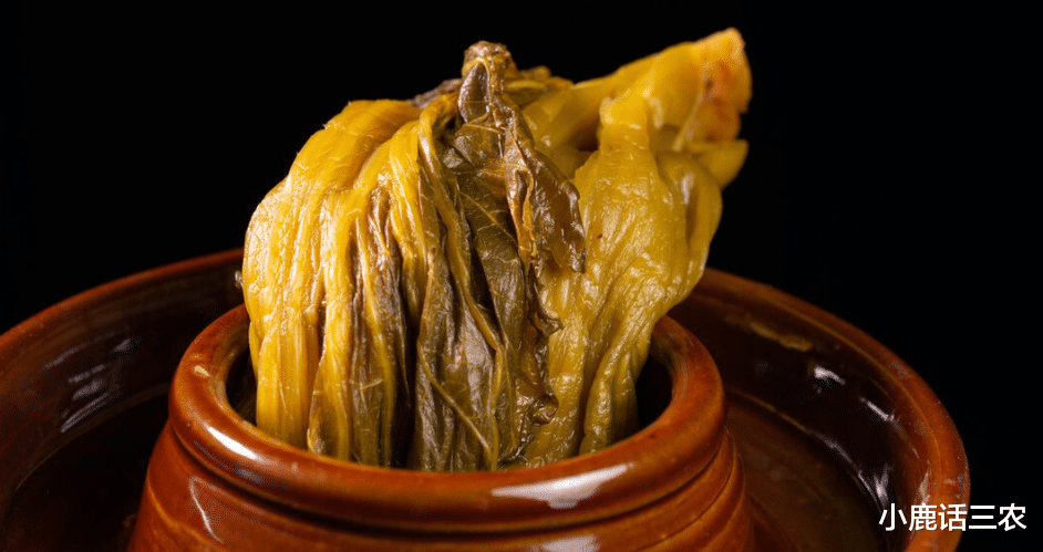 酸菜|腌酸菜，不能只加盐，多加这1样，不腐烂，颜色好，口感酸！
