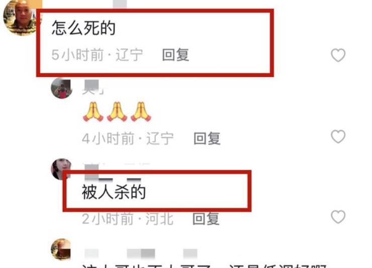 赵本山好友“涛哥”去世,疑讨债时被捅死,100辆豪车送殡遭批!