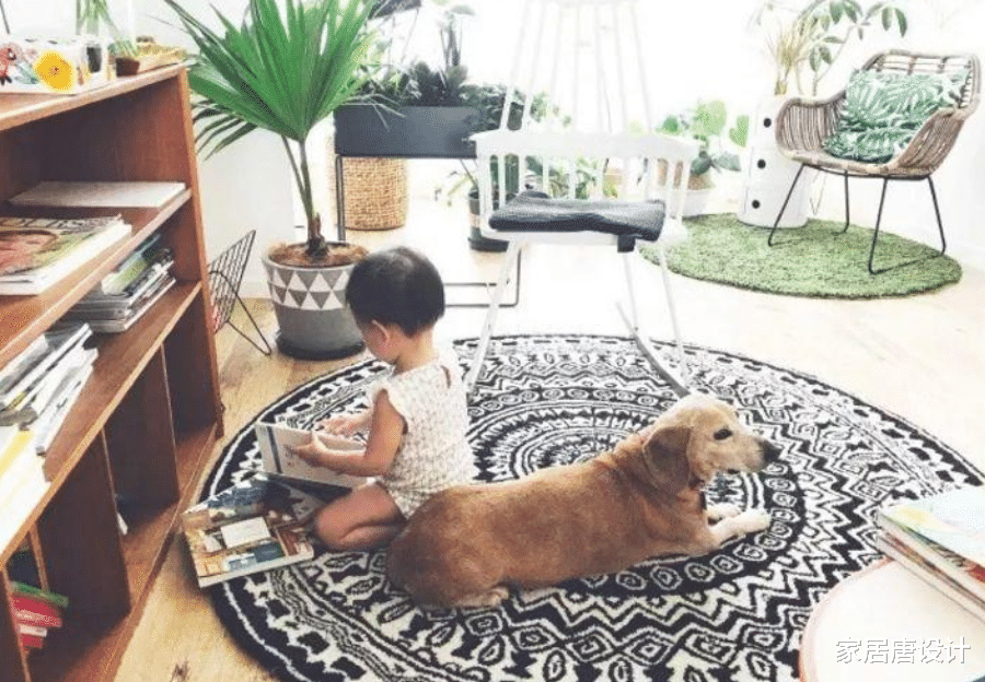 “世界小姐”张梓琳家：装修简单不夸张，布置花哨，超治愈