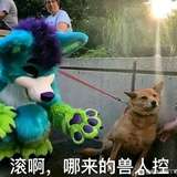 润后看育儿