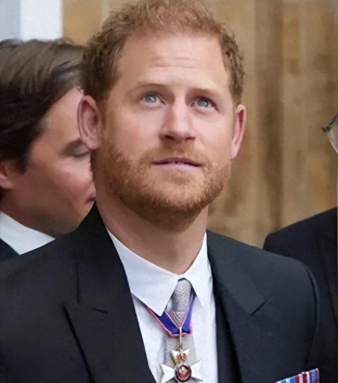 最惨接盘侠哈里：安德鲁自爆与梅根疯狂细节，“玩腻了才给他”！