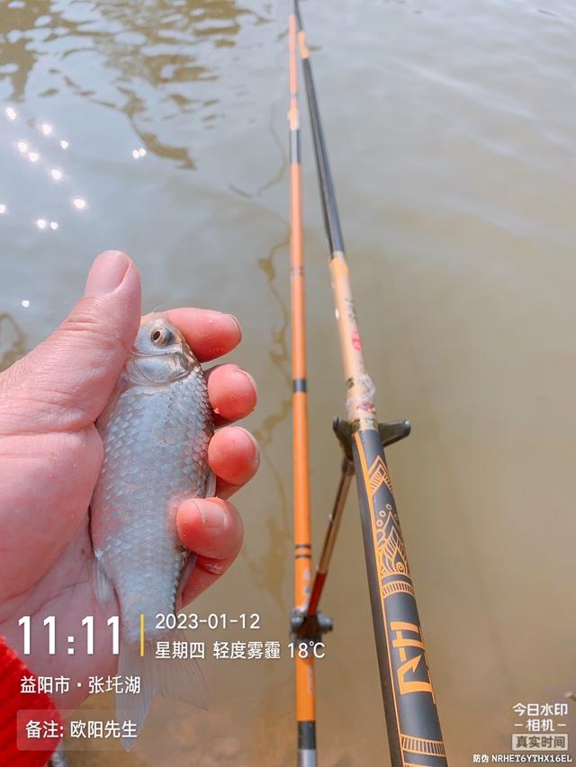 |新年第四钓,借势有成效