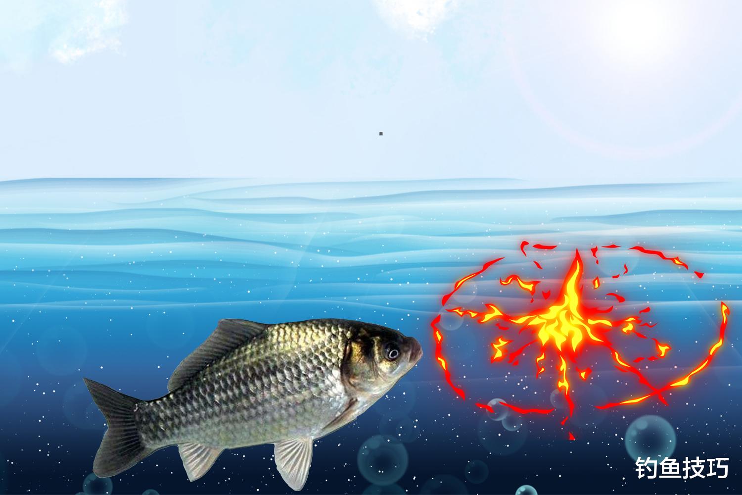 野钓找鱼的4个硬核知识,选钓位的依据