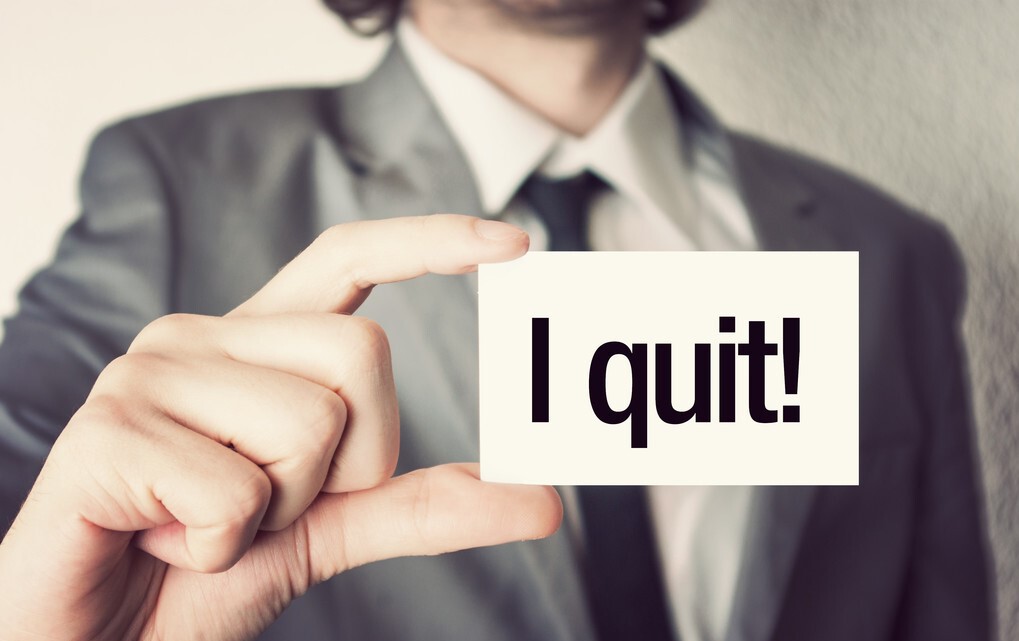 求职|职场上,“裸辞”与“骑驴找马”,你会做出怎样的选择?