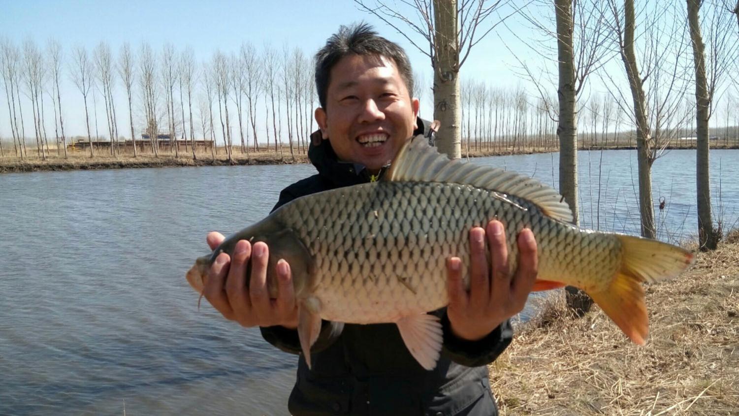 冬天能野钓鲤鱼吗？冬天野钓鲤鱼的4个条件