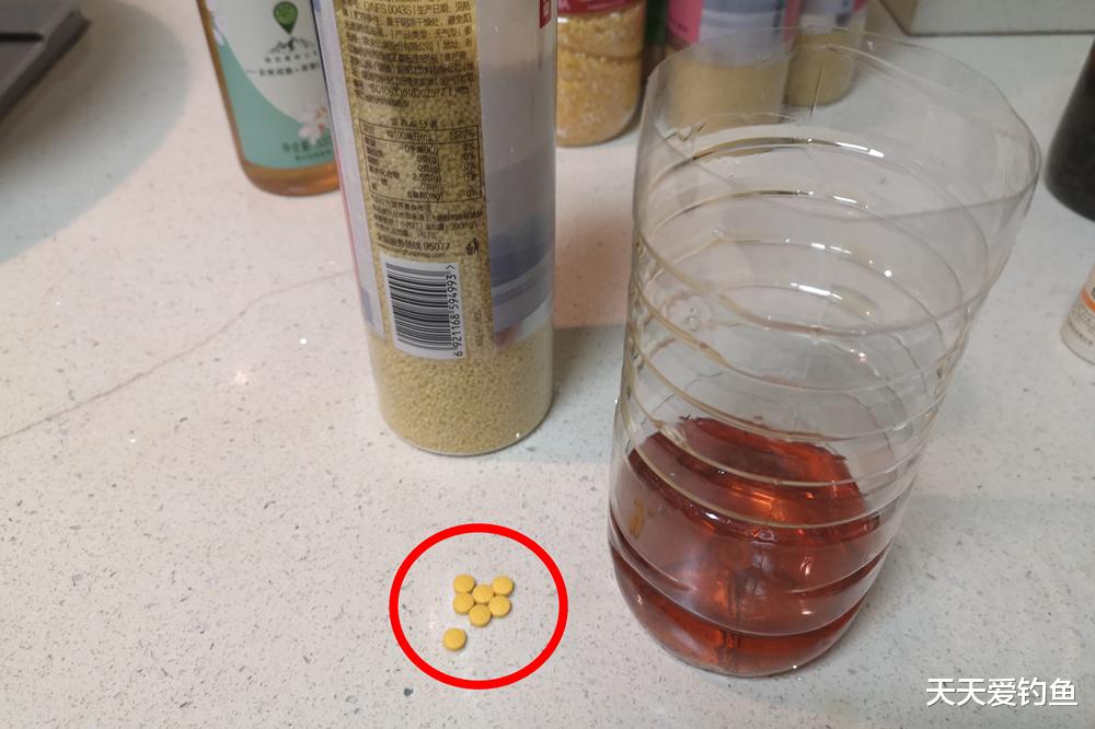 鲫鱼|野钓鲫鱼,这种酒米撒上一把,周围大鲫鱼排队进窝