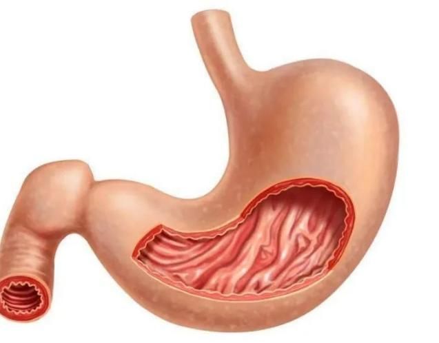 玉米是胃炎的“加速剂”吗?医生:不想胃部癌变,这4物嘴下留情