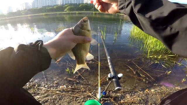 |钓友连竿上鱼的位置，为何你接窝却钓不到鱼？认清原因明白差在哪