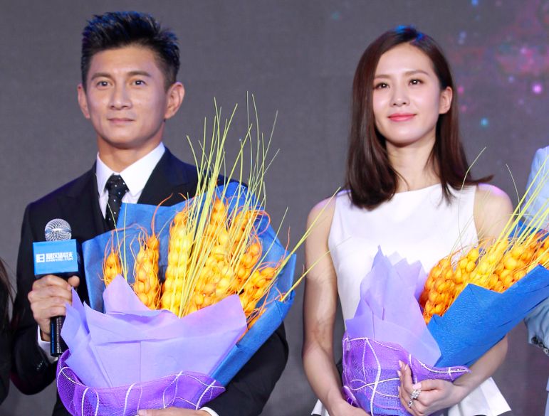 台媒曝刘诗诗吴奇隆正分割财产,两人关系陷白热化,婚姻不可调和