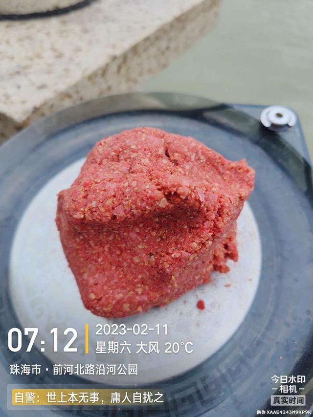 |浪急风高，大鱼偶得，罗非应接不暇