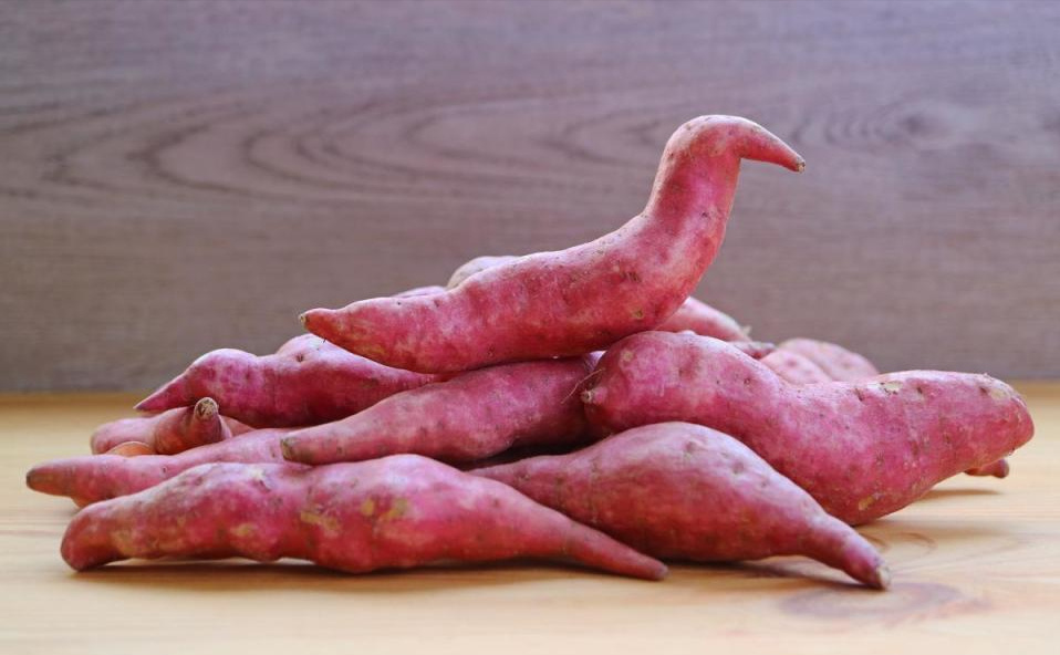 无氧运动|吃红薯有利于减肥?有些人吃红薯,为何却会越吃越胖?早点弄清楚