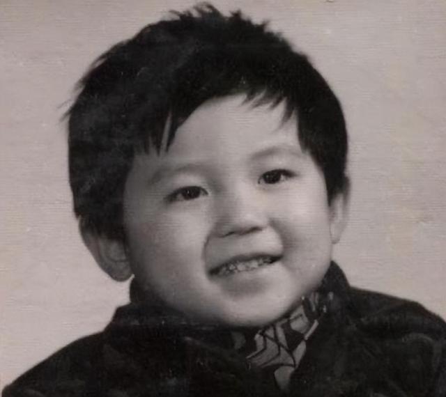 演艺圈33年不能总当大黑牛!44岁的李晨,已经陷入进退两难的地步