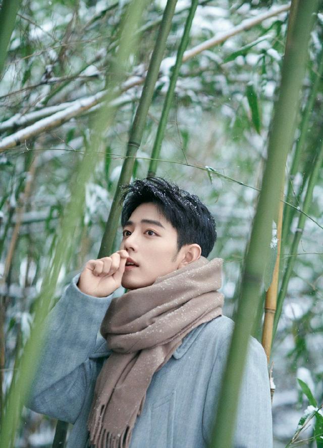 冬至|明星花式过冬至:肖战竹林打雪仗,周深大口炫糍粑,黄安科普历史