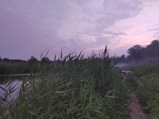 鲫鱼|钓鱼日记——2023年5月27日(巩华城夜钓)