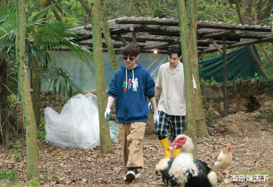 黄磊|大华回归！可惜已经变味儿了