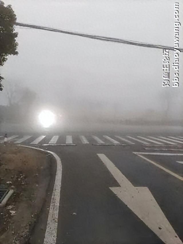 地狱猫一开,爆护自然来