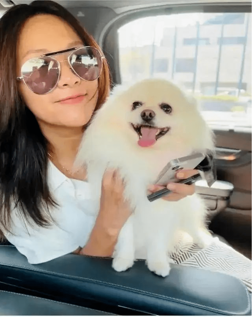 徐静蕾|48岁徐静蕾疑怀孕,曾有10位绯闻男友情史彪悍!