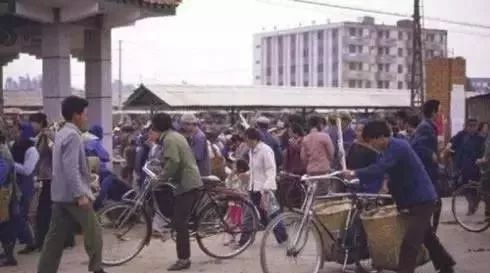 羊肉|七十年代下饭馆，看看那时都吃啥