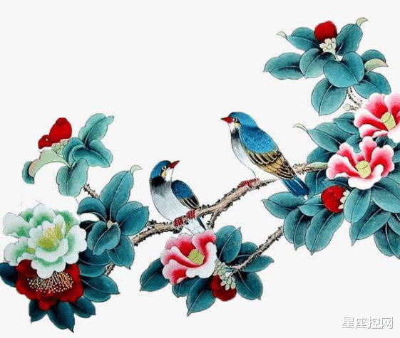 河北|哪3个星座的人,平日里低调十足,关键时刻却总有发展,进步不断