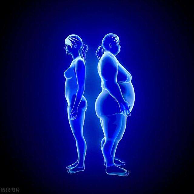 怎么做到减脂不减肌？5个建议让你减掉更多赘肉