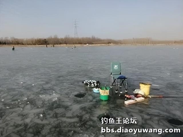 地狱猫冰上漫步，鲫鱼妹召之即来