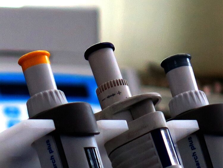 肺摘了胃切了!85岁院士患癌至今无复发,他的2个抗癌法值得学习