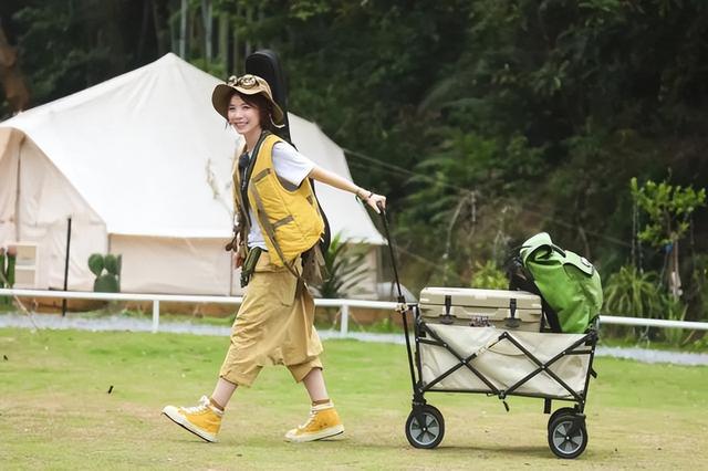 |黄雅莉过气后的生活现状,撕下了当下社会“内卷”的遮羞布