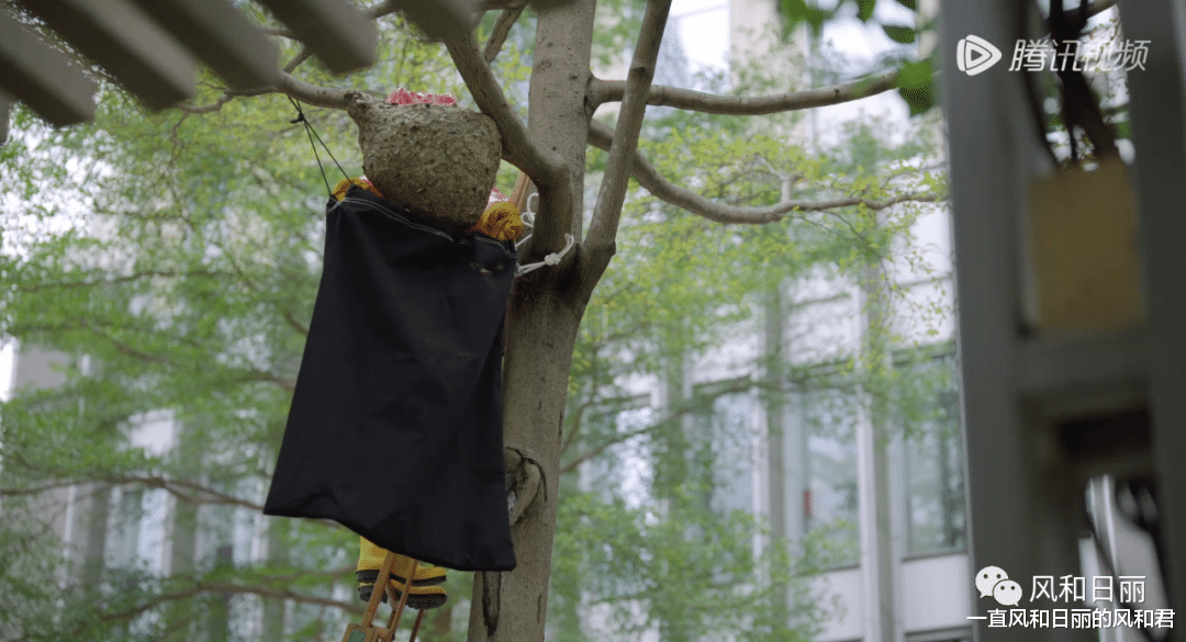 国产剧|《漫长的季节》之后,本季国产剧基本团灭,都是雷