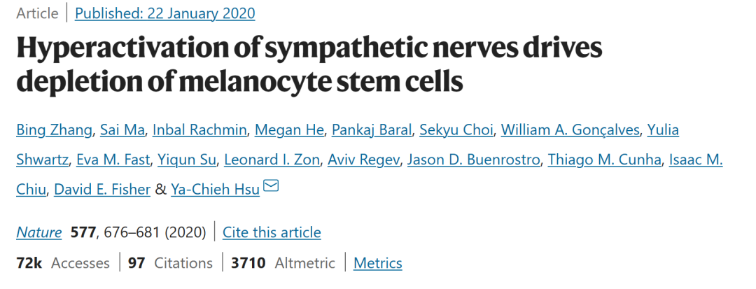 安欣|一夜白头？《狂飙》里安欣的白发是怎么长出来的？