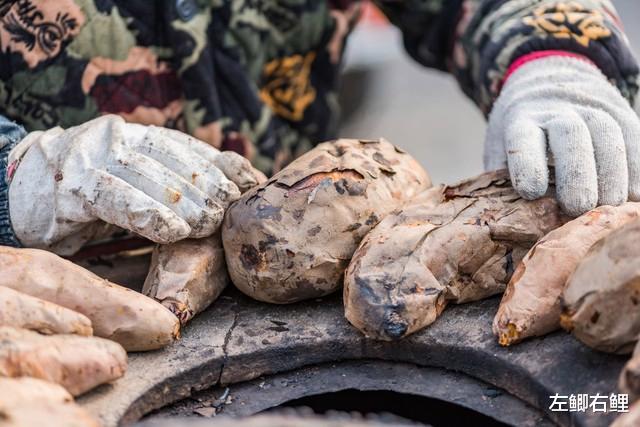 夏季垂钓鲤鱼,都有哪几种好用的鱼饵?